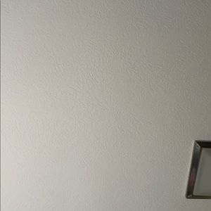 Meet your Posher, Alfonso